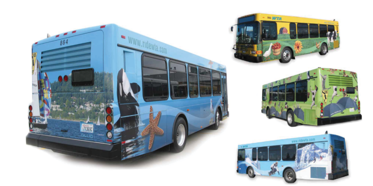 Graphic wraps of WTA Bright Ride buses were a vivid departure from the rest of their white fleet.